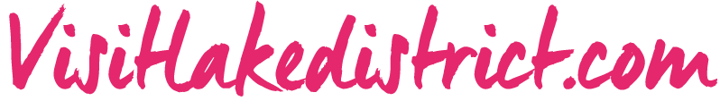 Updatedvld-logo-pink for website.png